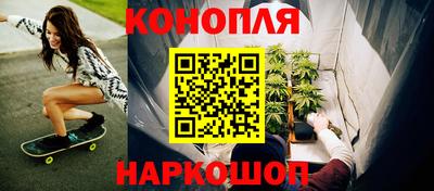 индика Усть-Илимск