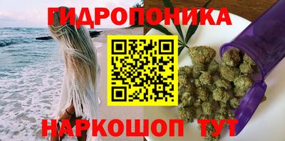 индика Усть-Илимск