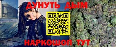 индика Усть-Илимск