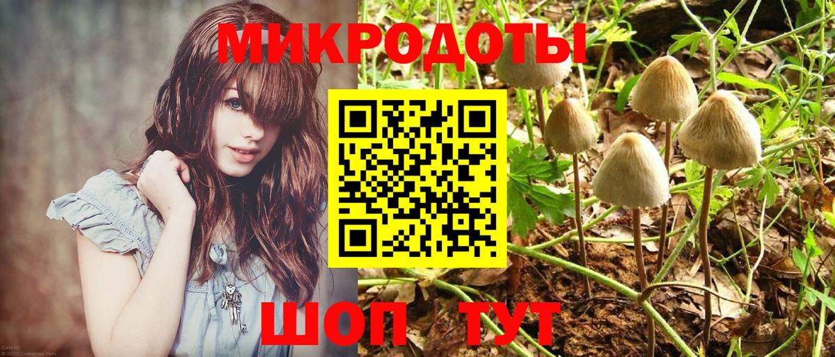 Нововоронеж  купить наркотики цена  Вход с VPN  Псилоцибиновые грибы Psilocybine cubensis  Псилоцибиновые грибы Psilocybe 