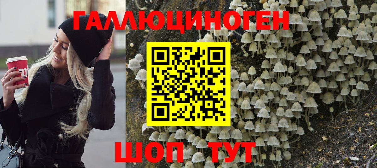 Галлюциногенные грибы ЛСД Нововоронеж